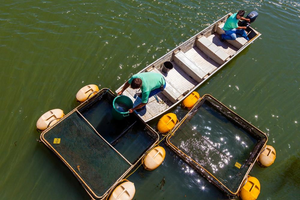 Foto: Rubens Fraulini/Itaipu Binacional
