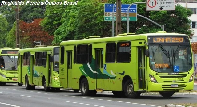 Arquivo