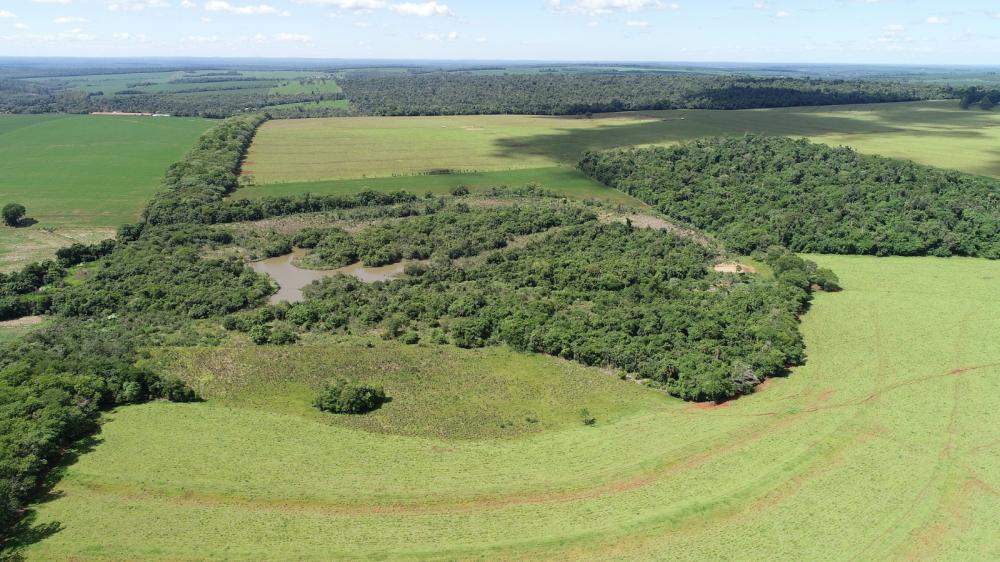 Foto: Alexandre Marchetti/Itaipu Binacional
